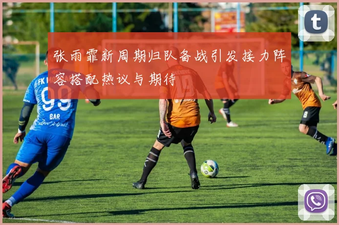张雨霏新周期归队备战引发接力阵容搭配热议与期待
