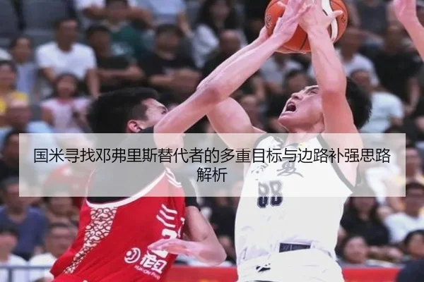 国米寻找邓弗里斯替代者的多重目标与边路补强思路解析